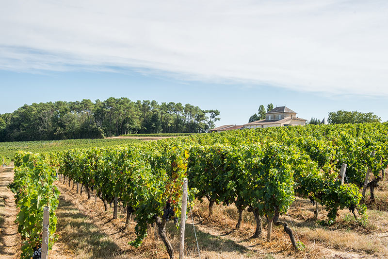 FBZ5635-HDR.jpg