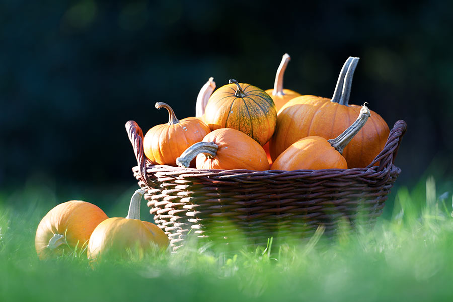 Journee-Jardin-et-Partage.jpg