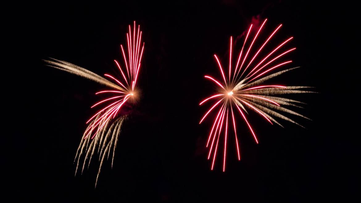 Croisière & feu d'artifice 
 La croisière de cet après-midi vous a plu ? A…