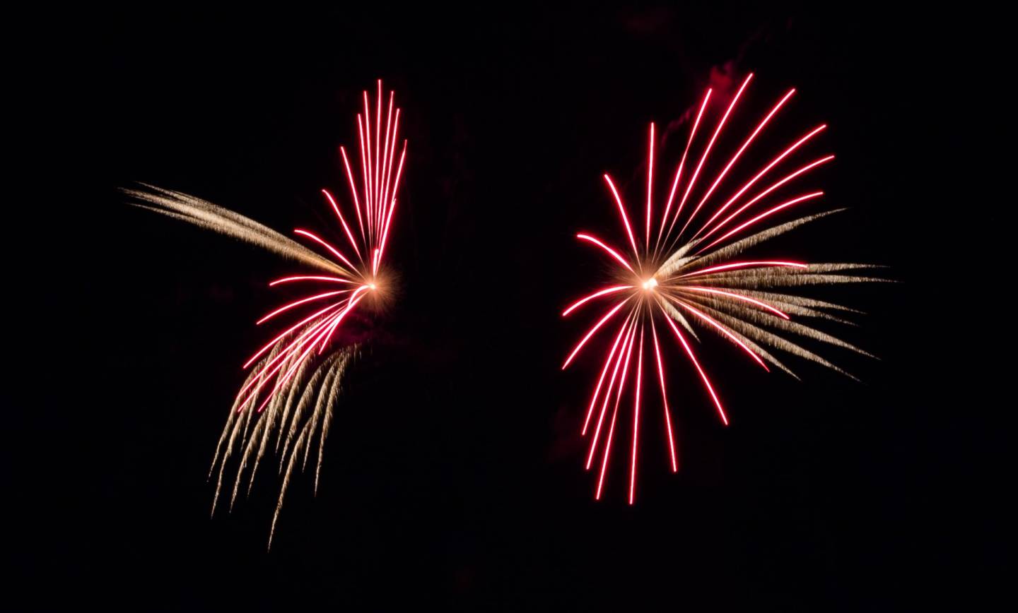 Croisière & feu d'artifice 
 La croisière de cet après-midi vous a plu ? A…