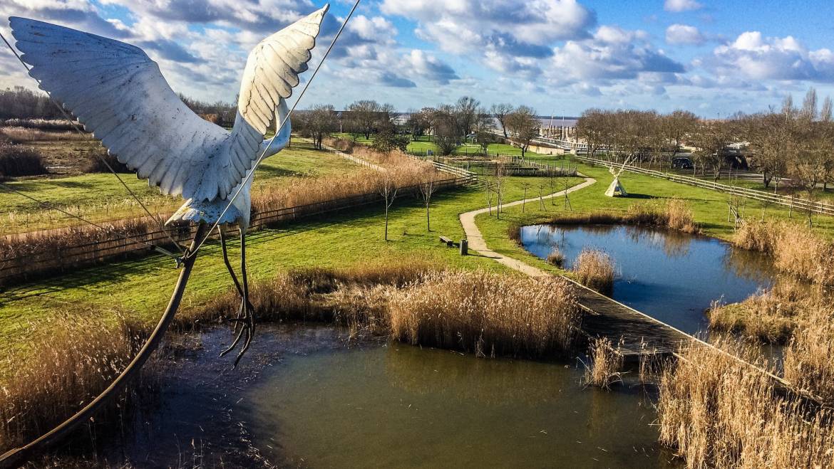 Mettez-vous au vert… à Terres d’oiseaux ! 
 Située sur un espace de marais pré…