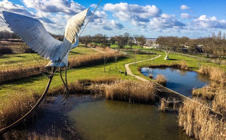 Mettez-vous au vert… à Terres d’oiseaux ! 
 Située sur un espace de marais pré…