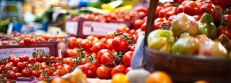 Marché du terroir à Magrigne : Blaye Bourg Terres d’Estuaire