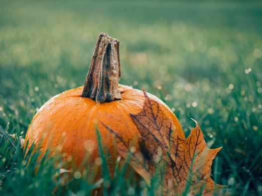 Quand Blaye Bourg Terres d’Estuaire fête Halloween, ça donne cela ! Tremblez che…