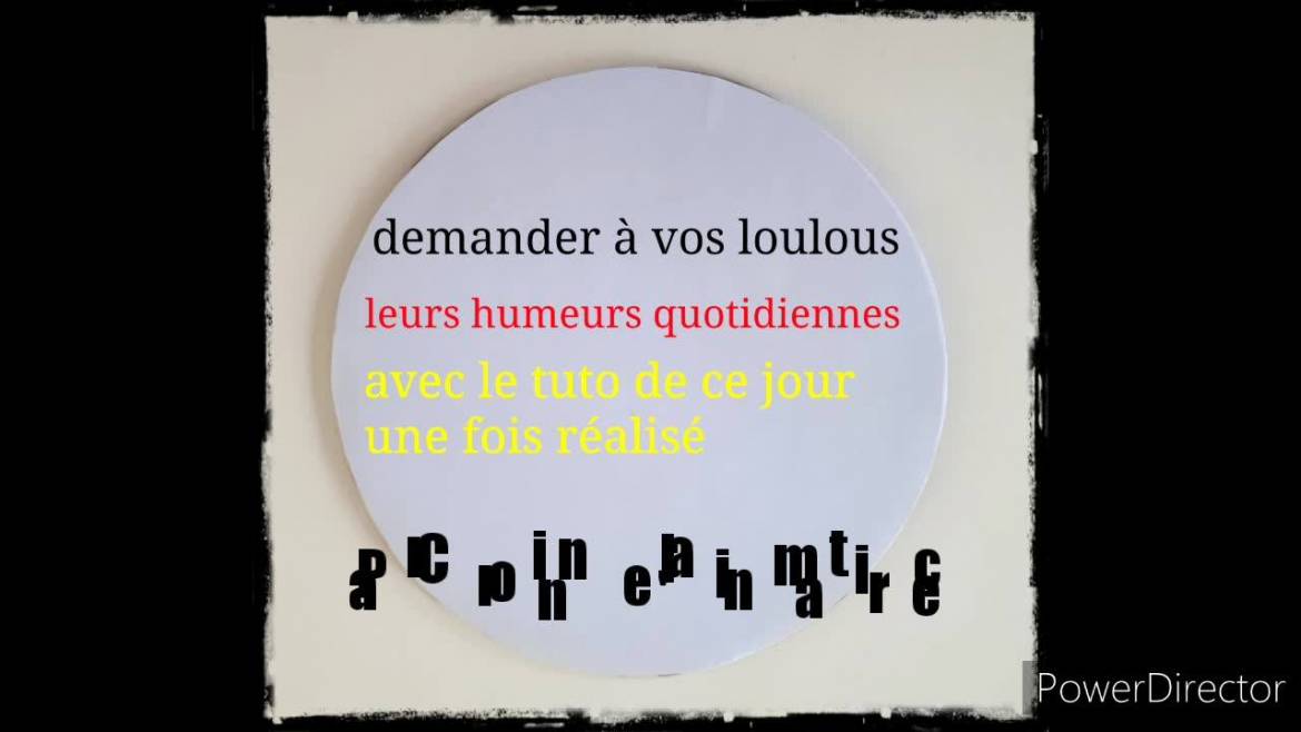 75332600_622279788613782_8643388586734911488_n.jpg