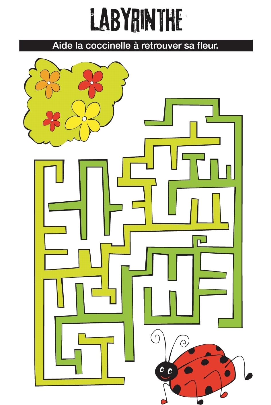 96011839_2751555178275247_8224541404639002624_o.jpg