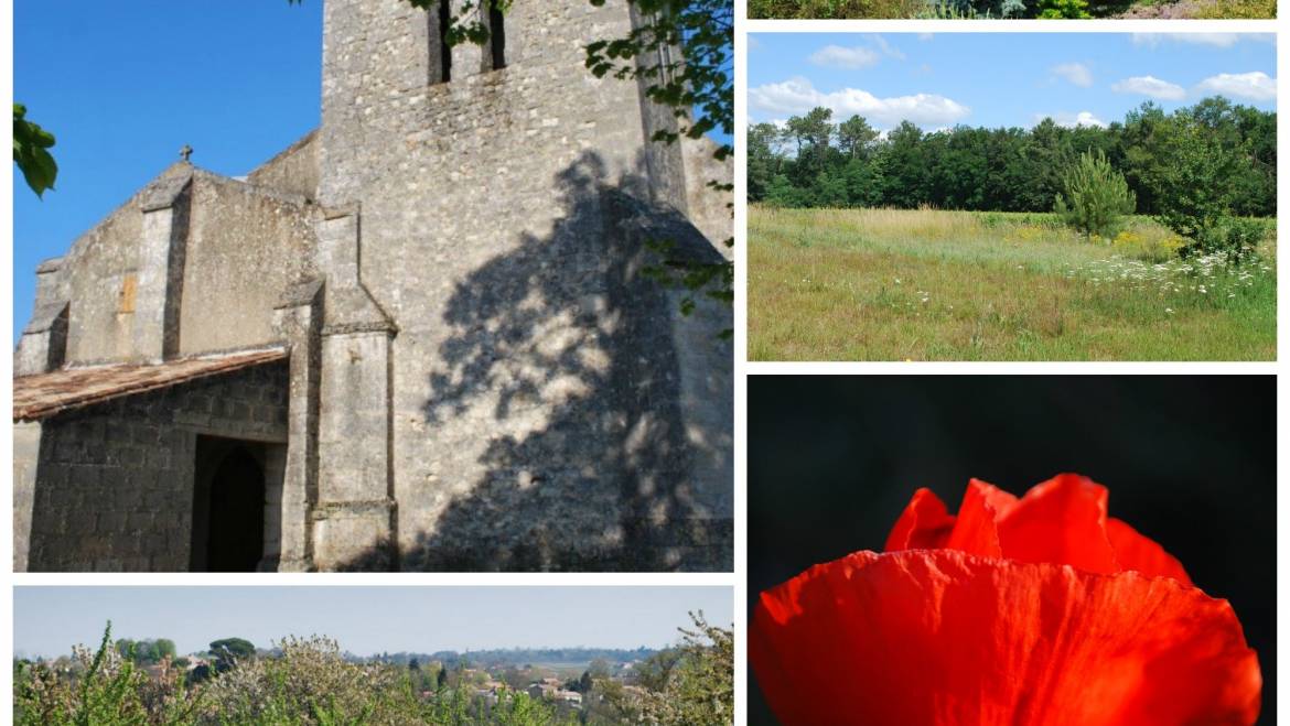 [Petit quizz  ]
 Sur quelle commune ont été prises ces photos ?
Grand Cubzaguais…