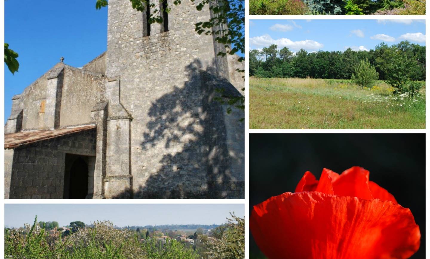 [Petit quizz  ]
 Sur quelle commune ont été prises ces photos ?
Grand Cubzaguais…