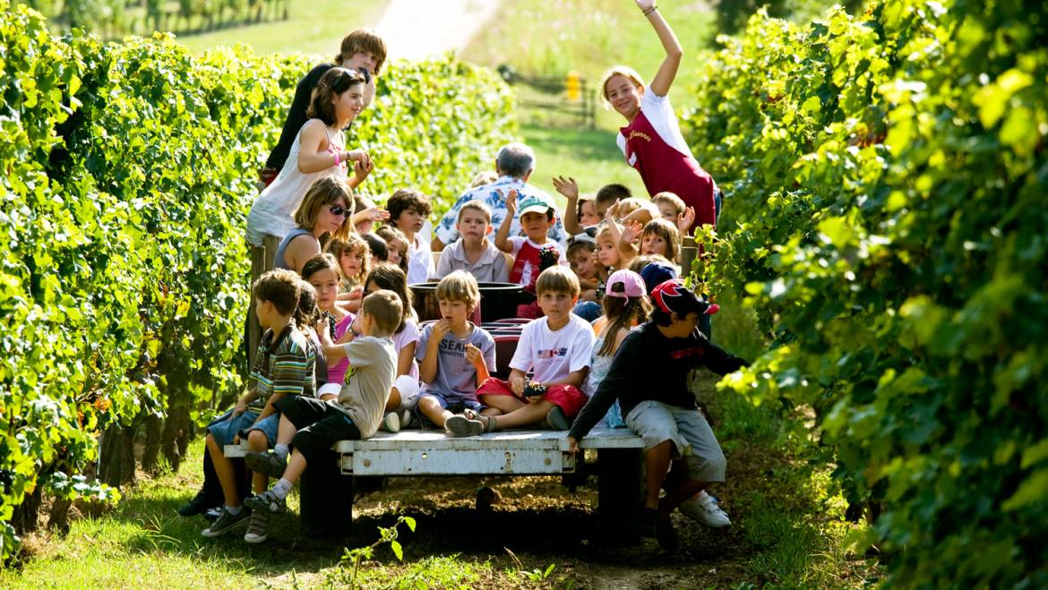 L’été au grand air – En avant les enfants – Un air de Bordeaux