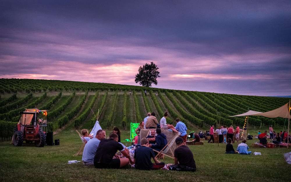 Gironde : des apéros vignerons chaque vendredi soir