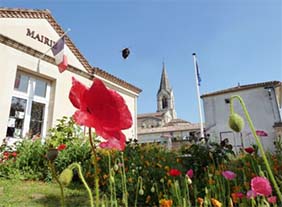 conseil_municipal_des_jeunes.jpg