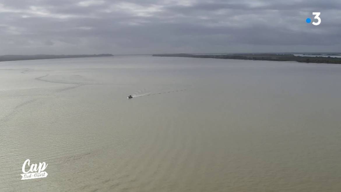 Cap Sud Ouest: Estuaire de la Gironde, mouvant et émouvant (replay)