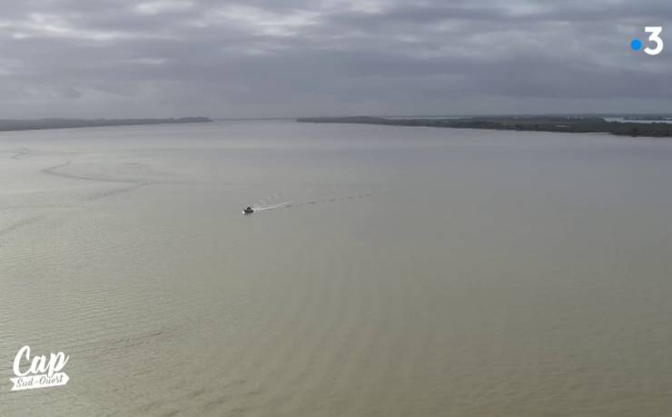 Cap Sud Ouest: Estuaire de la Gironde, mouvant et émouvant (replay)