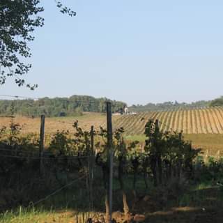 Retour sur notre dernière randonnée famille sur la commune de Mombrier.
 Par E…