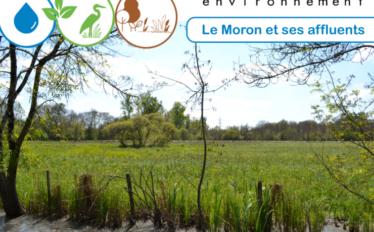 Invitation Réunion n°5 de présentation – Inventaire des Zones Humides – Secteur 1 : Bassins versant du Moron ; sous-secteur 1E : Les Palus