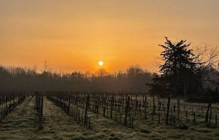 Lever de soleil au Château Moulin de la Marzelle 
 Vins Corporandy Côtes de Bo…