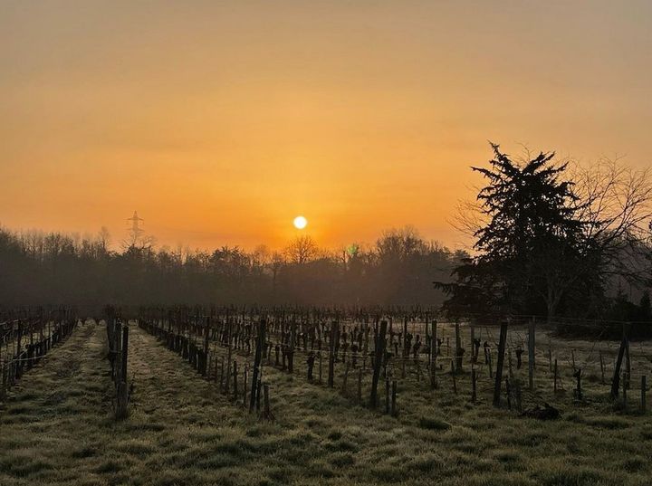 Lever de soleil au Château Moulin de la Marzelle 
 Vins Corporandy Côtes de Bo…