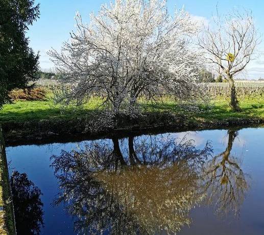 [Le Printemps est là]
 A l’occasion de la journée du printemps, rien de tel qu…