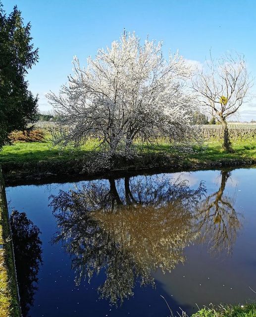 [Le Printemps est là]
 A l’occasion de la journée du printemps, rien de tel qu…