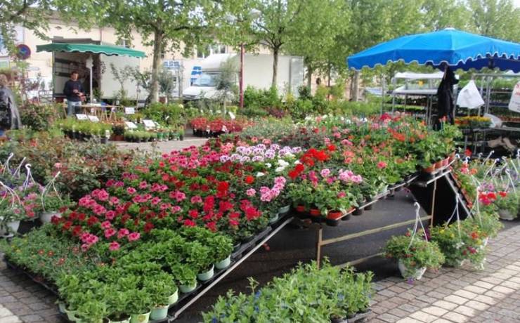 Grand marché des Floralies à Saint André de Cubzac – Blaye Bourg Terres d’Estuaire