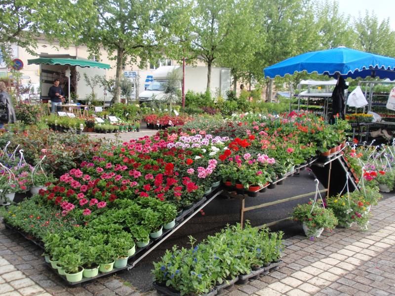 Grand marché des Floralies à Saint André de Cubzac – Blaye Bourg Terres d’Estuaire