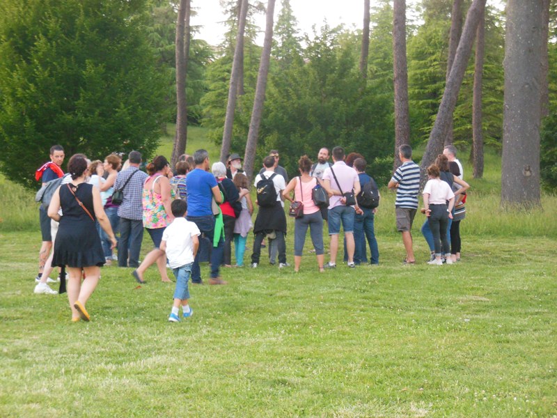 Sorties Nature à St Laurent d’Arce – Blaye Bourg Terres d’Estuaire