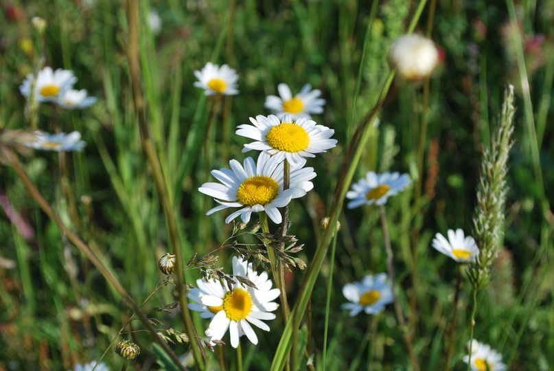 [Le site naturel du Moron] 

Une parenthèse naturelle hors du temps, c’est possi…