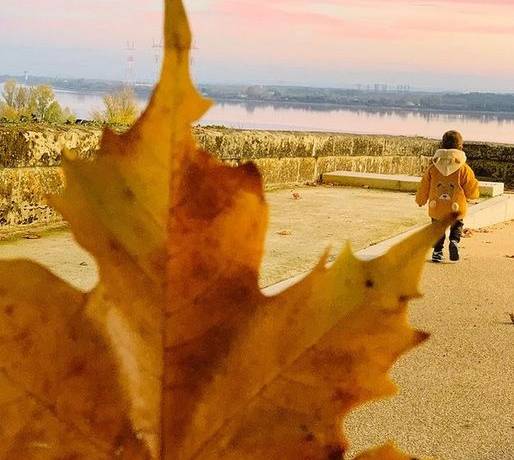 [Photo du dimanche soir]
 Souvenir d’automne dans le Grand Cubzaguais par @cri…