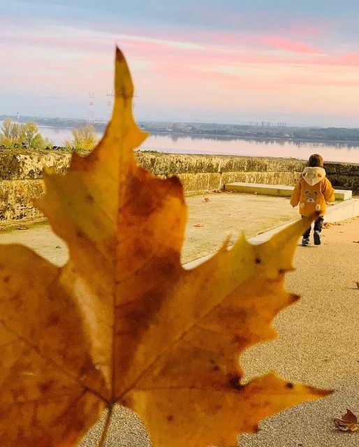 [Photo du dimanche soir]
 Souvenir d’automne dans le Grand Cubzaguais par @cri…