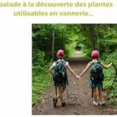 ÇA ENVOIE DU BOIS !
 La balade de demain matin est maintenue.
 Si mauvais temp…