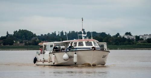 croisiere-estuaire-les-ilouts-gilles-theophile-800x600.jpg