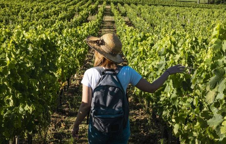 Une petite balade dans le vignoble , ça vous tente ?
 On vous suggère 2 châtea…