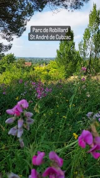 [La campagne à la ville]
 Et puis, c’est aussi cela vivre dans le @grandcubzag…