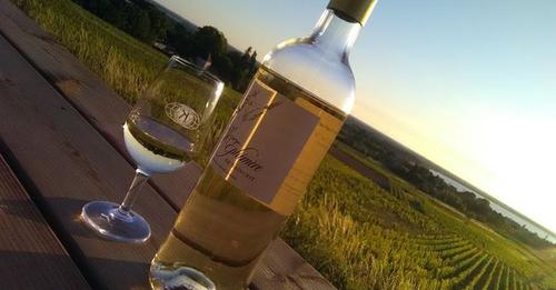 Wine & Sunset au Château Saincrit – Blaye Bourg Terres d’Estuaire