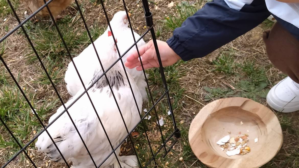 L’atelier du vivant
 avec la ferme pédagogique L’Empreinte.
 Rencontre avec de…