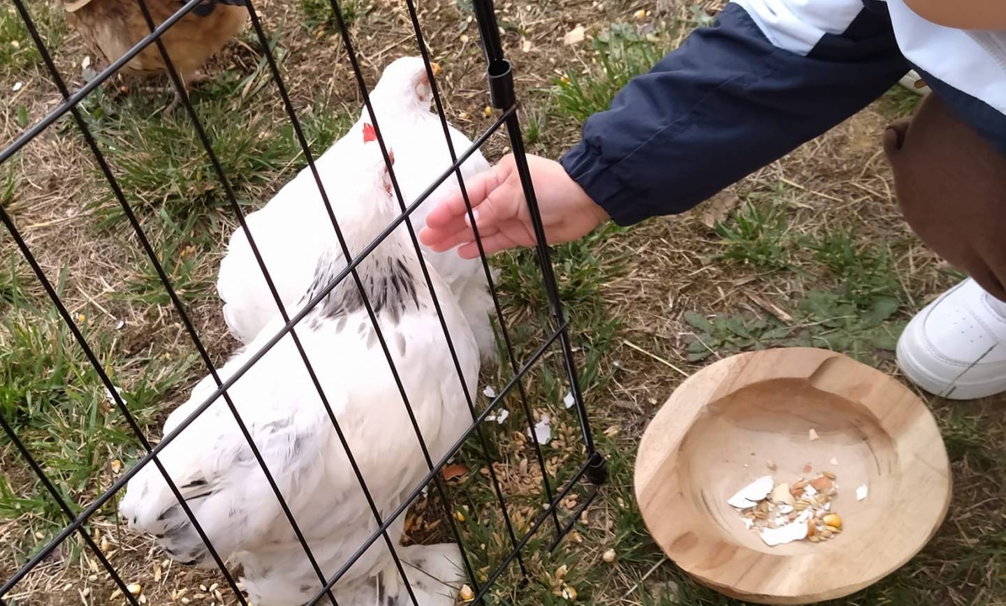 L’atelier du vivant
 avec la ferme pédagogique L’Empreinte.
 Rencontre avec de…