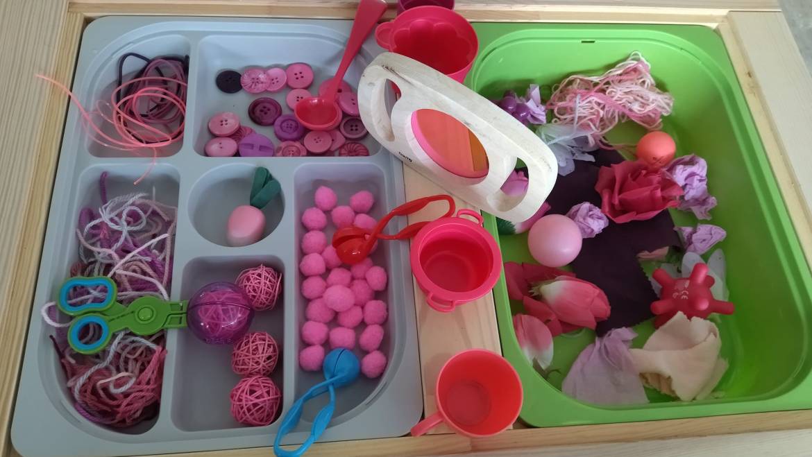 Bac d’exploration « la vie en rose »
 pour le bonheur des plus jeunes