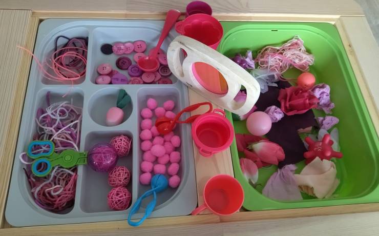 Bac d’exploration « la vie en rose »
 pour le bonheur des plus jeunes