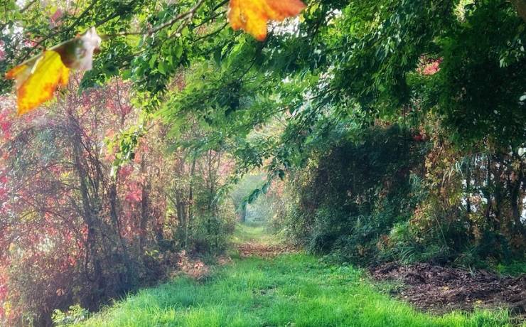 [Couleurs d’automne]

On n’ comme une envie de partir en promenade lorsqu’on voi…