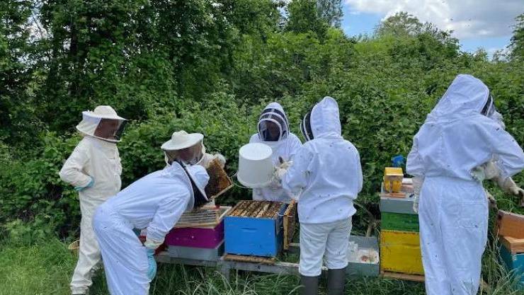 J’apprends l’apiculture avec l’Abeille Cubzaguaise à SAINT-ANDRE-DE-CUBZAC – Blaye Bourg Terres d’Estuaire