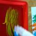 Lectures et atelier sur le th\u00e8me \