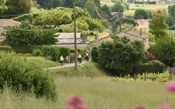 Envie d’une escapade à vélo au cœur des vignobles ? Et si on partait à la découv…