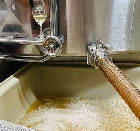 Vendange des blancs au Château de l’Hurbe 
 
Les vendanges sont plus qu’une simp…
