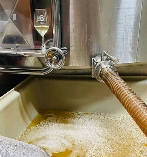 Vendange des blancs au Château de l’Hurbe 
 
Les vendanges sont plus qu’une simp…