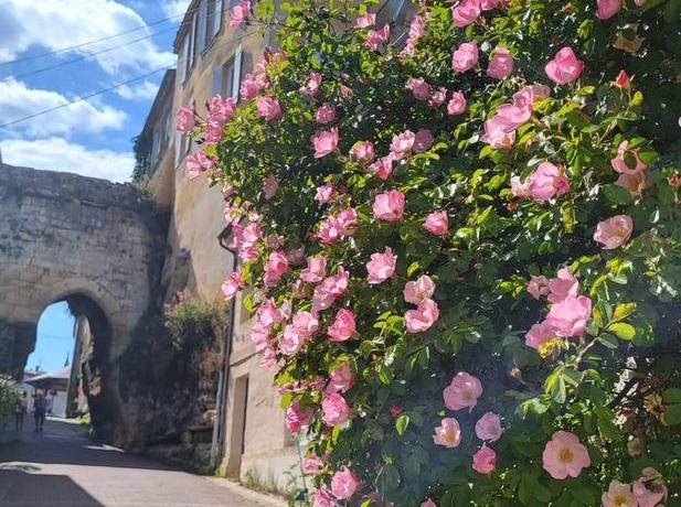 La photo du dimanche soir
La Rue Cahoreau dans le village ancien de Bourg avec s…