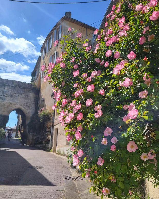 La photo du dimanche soir
La Rue Cahoreau dans le village ancien de Bourg avec s…