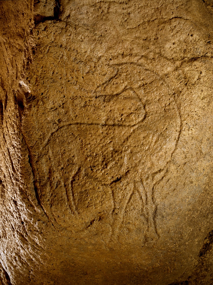 VOYAGE DANS LE TEMPS : 30 000 ANS D’HISTOIRE !
Rendez-vous au nord de Bordeaux,…