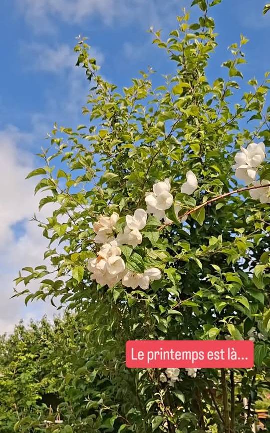 Le printemps est là, prenez le large !
Ruelles ensoleillées, escaliers parfumés,…