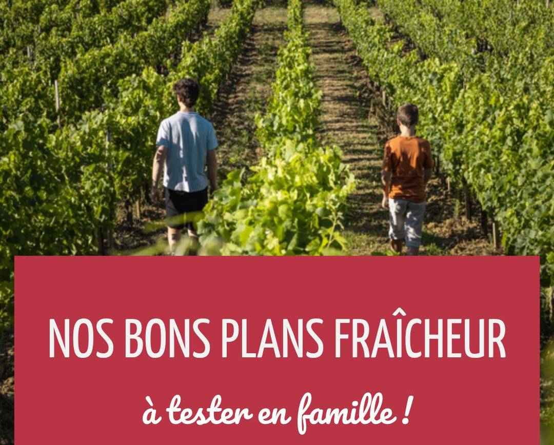 Alerte grosses chaleurs 
Mais pas de panique, nous vous proposons quelques bons …