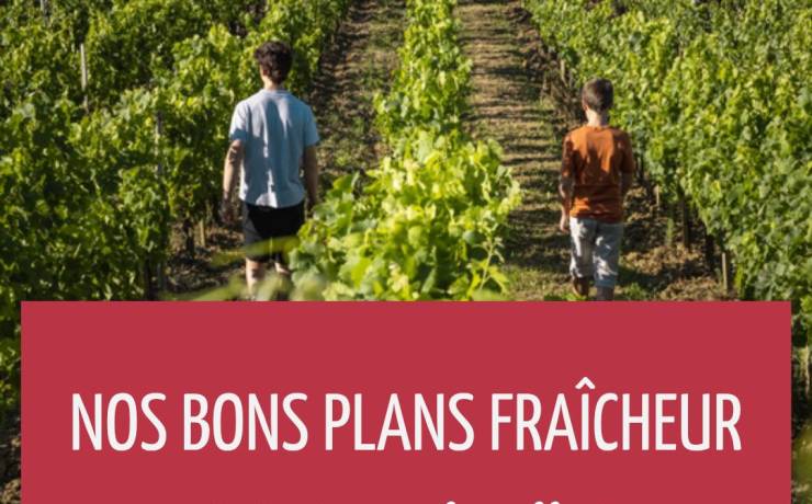 Alerte grosses chaleurs 
Mais pas de panique, nous vous proposons quelques bons …